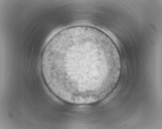 X0000115031390200911231103