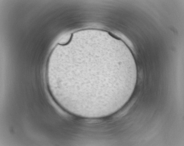 X0000115031391200911231103