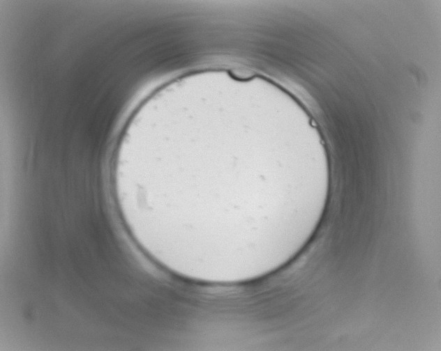 X0000115031392200911231103