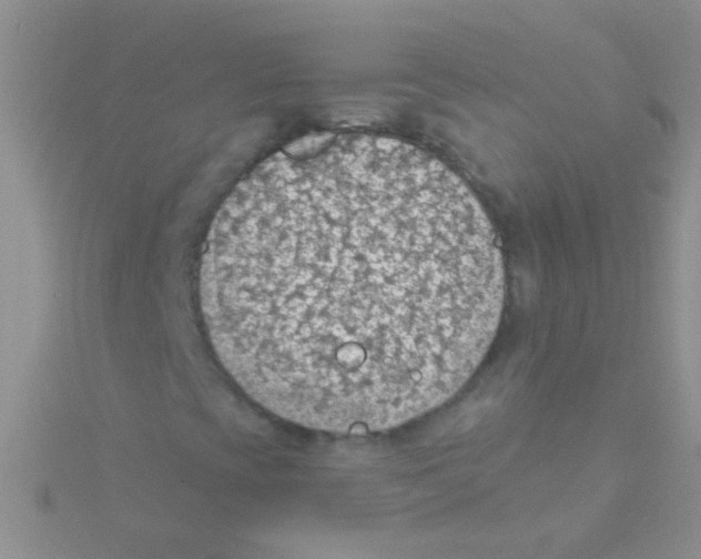 X0000115031393200911231102