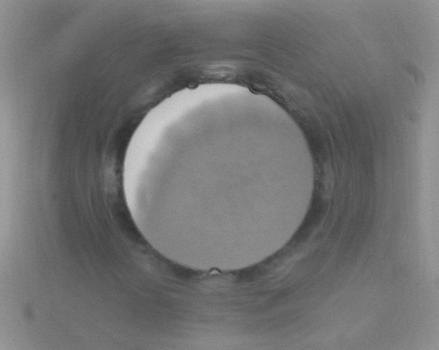 X0000115031394200911231102