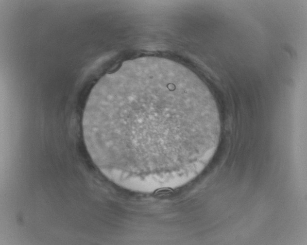 X0000115031398200911231102