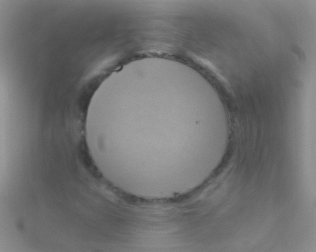 X0000115031399200911231102