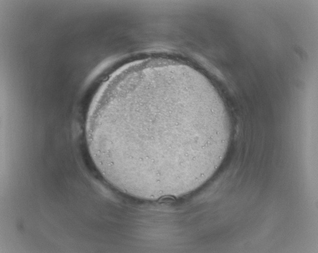 X0000115031400200911231102