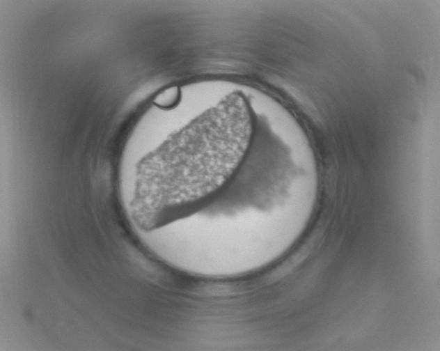 X0000115031402200911231102