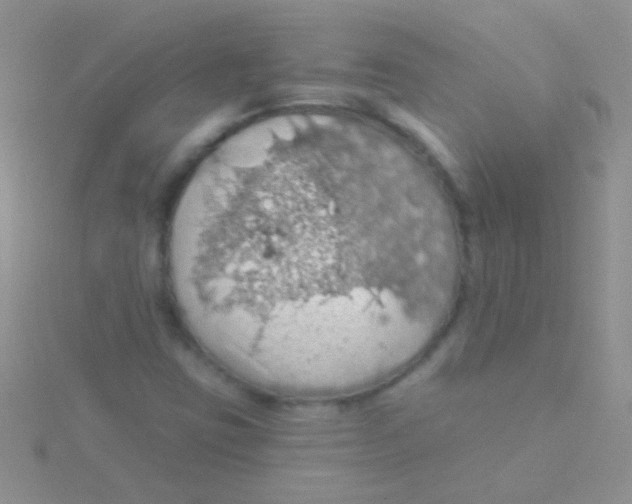 X0000115031403200911231102