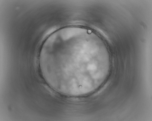 X0000115031405200911231102