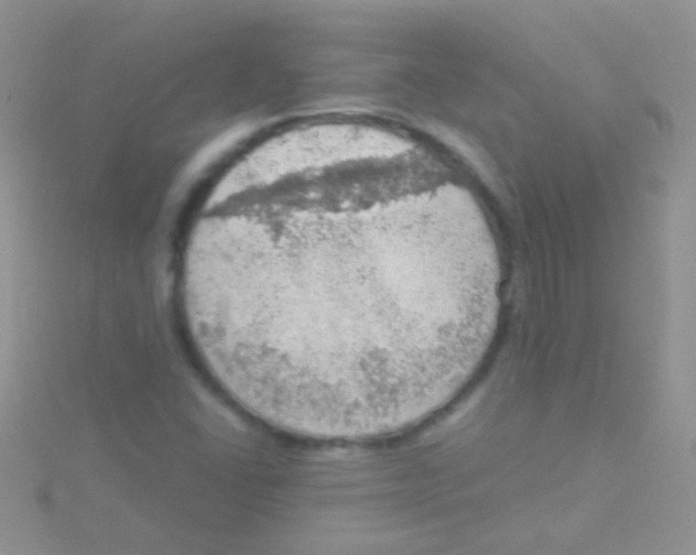 X0000115031406200911231102