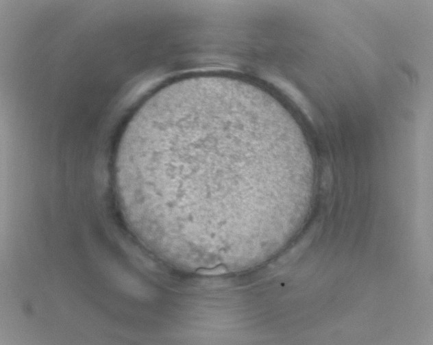 X0000115031407200911231102