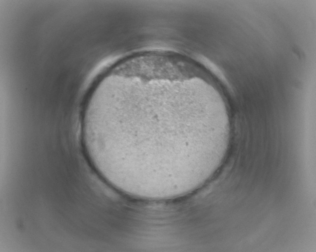 X0000115031408200911231102