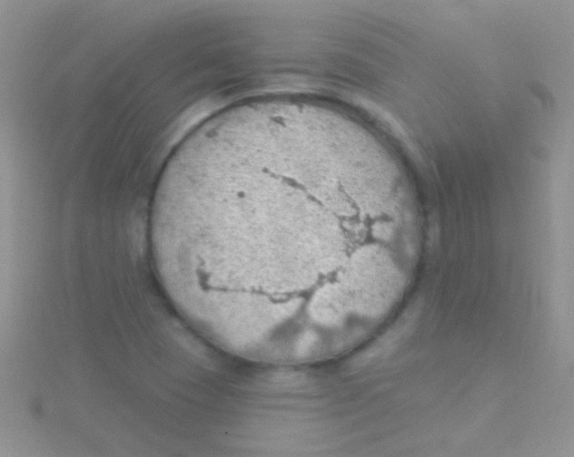 X0000115031409200911231102