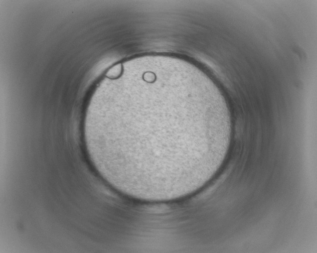 X0000115031410200911231102