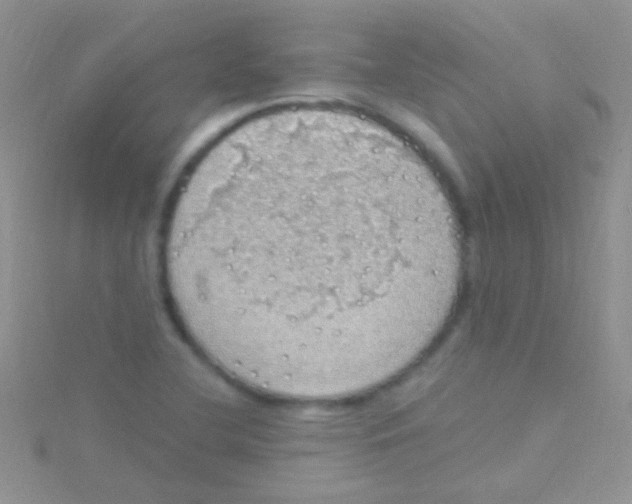 X0000115031412200911231102