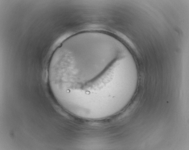 X0000115031413200911231102