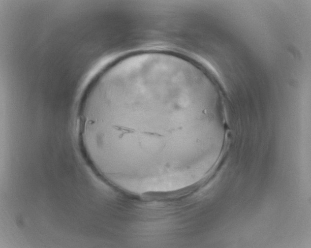 X0000115031414200911231102