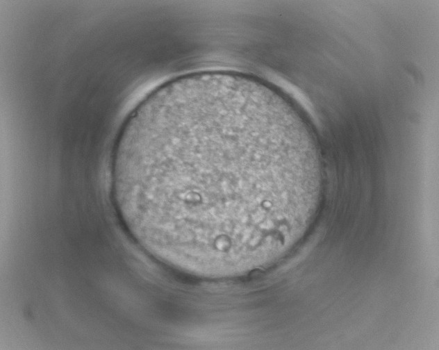 X0000115031415200911231102