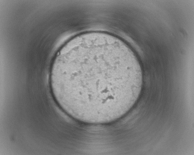 X0000115031416200911231102