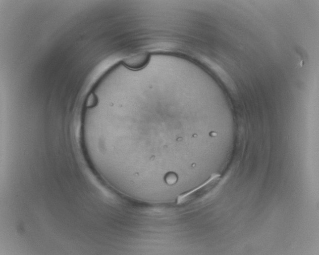 X0000115031418200911231102