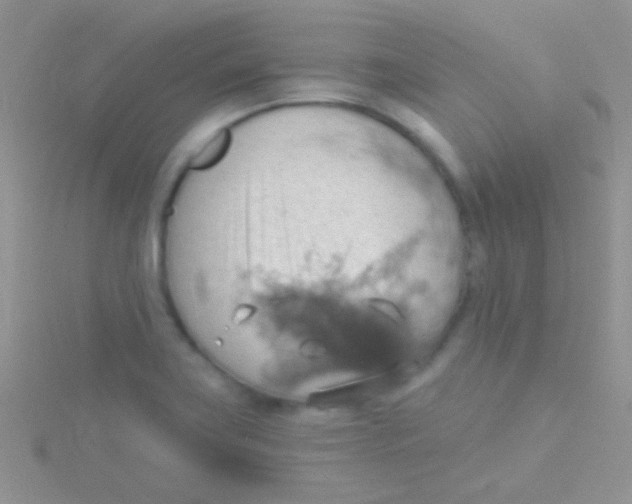 X0000115031419200911231102