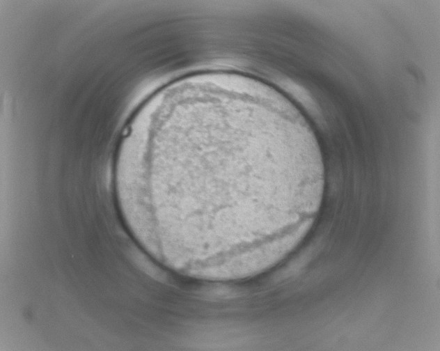 X0000115031420200911231102