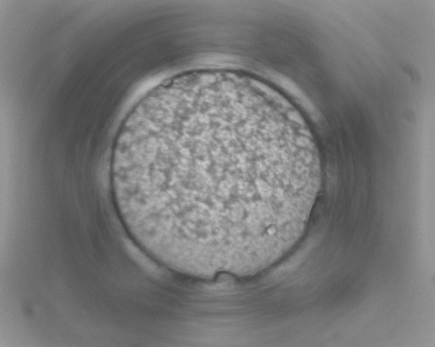 X0000115031421200911231102