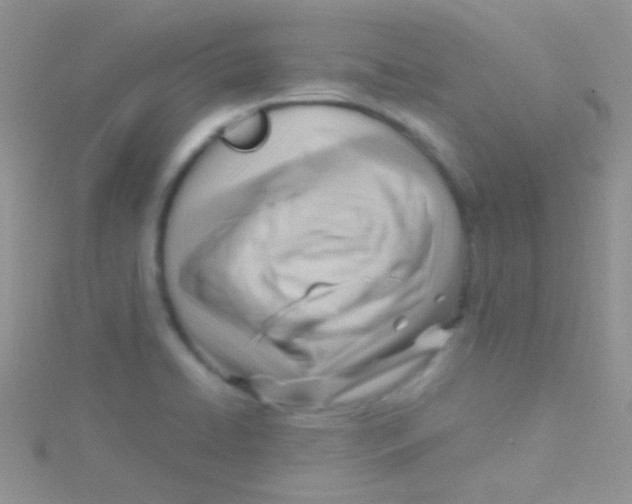 X0000115031422200911231103