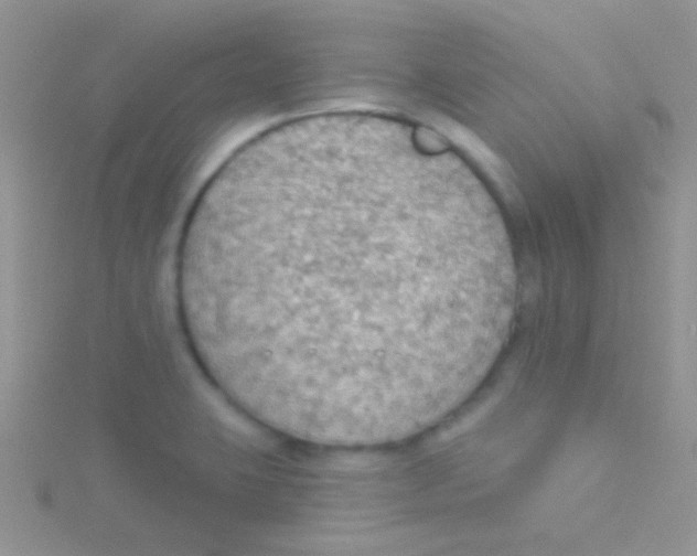 X0000115031423200911231103