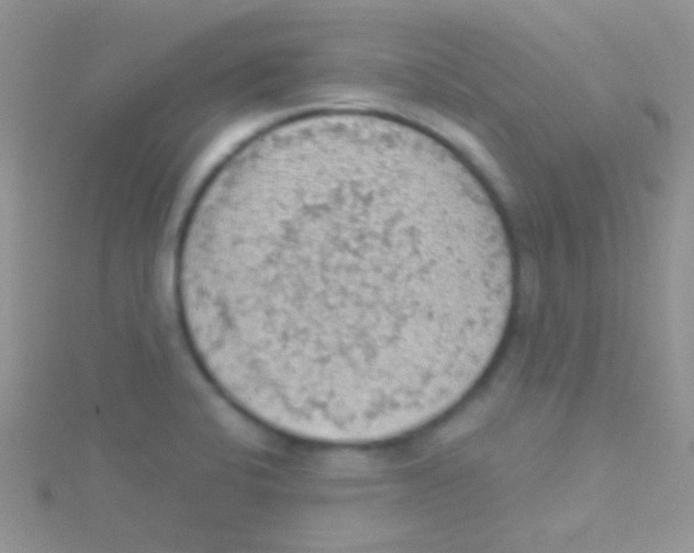 X0000115031424200911231103