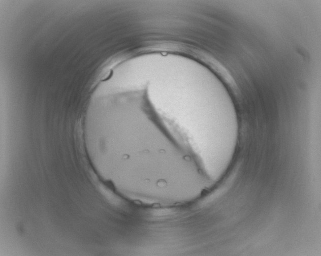 X0000115031425200911231103