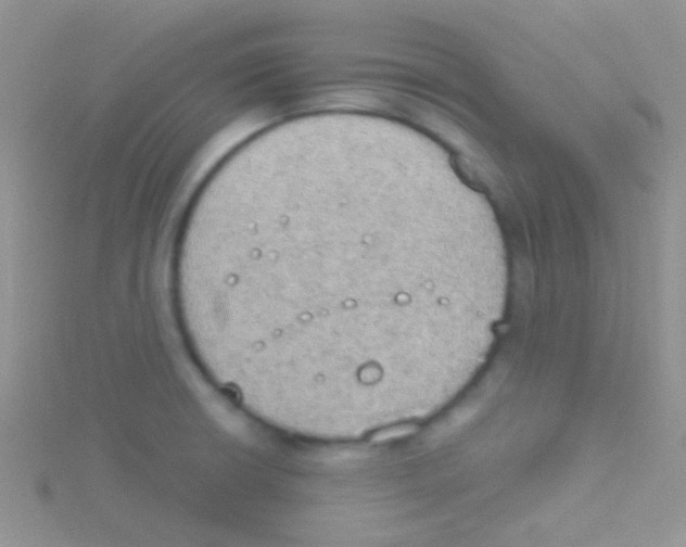 X0000115031426200911231103