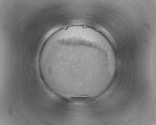 X0000115031427200911231103