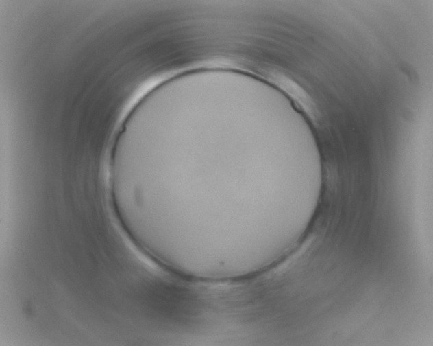 X0000115031428200911231103