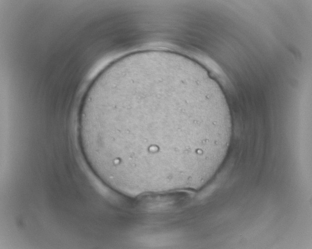 X0000115031430200911231103