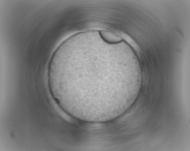 X0000115031431200911231103