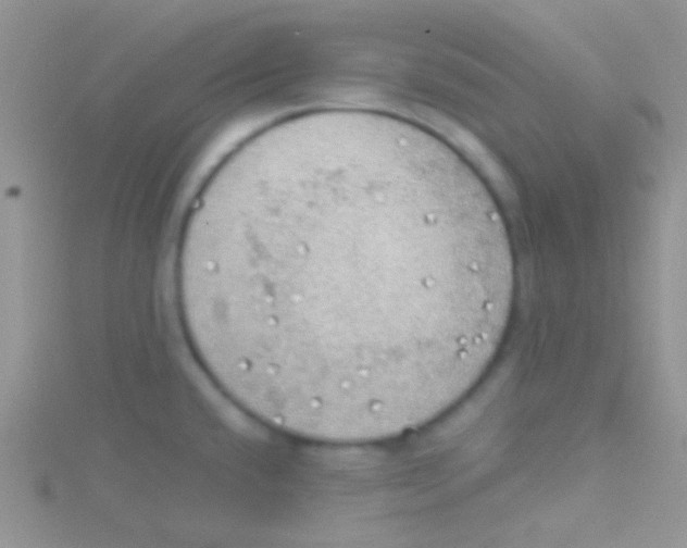 X0000115031432200911231103