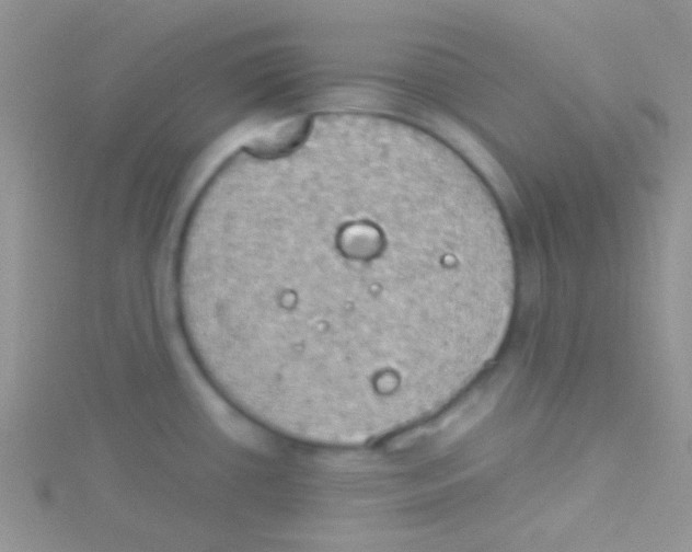 X0000115031434200911231103