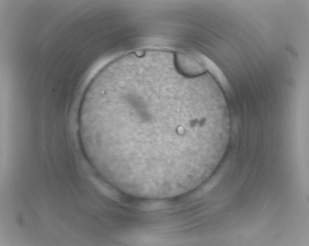 X0000115031435200911231103