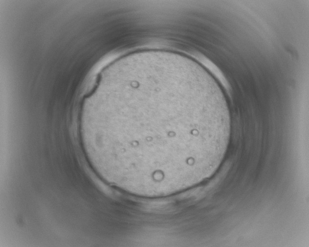 X0000115031437200911231103