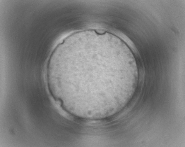 X0000115031439200911231103