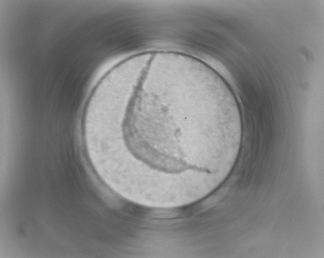 X0000115031440200911231103