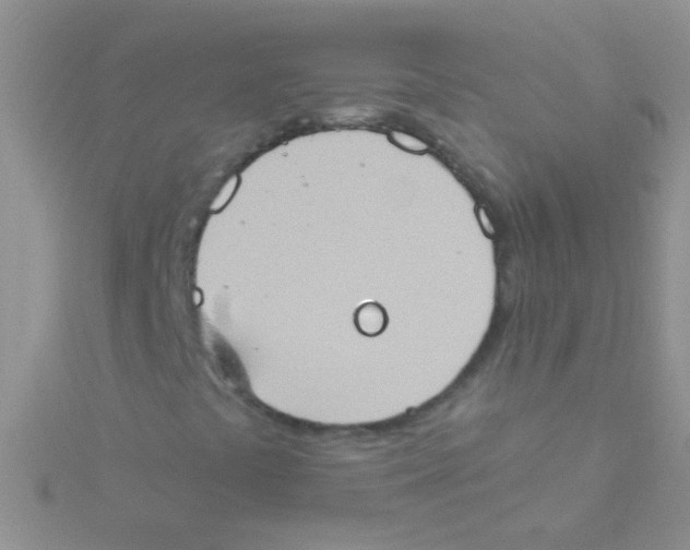 X0000115031441200911231102