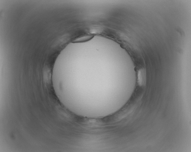 X0000115031443200911231102