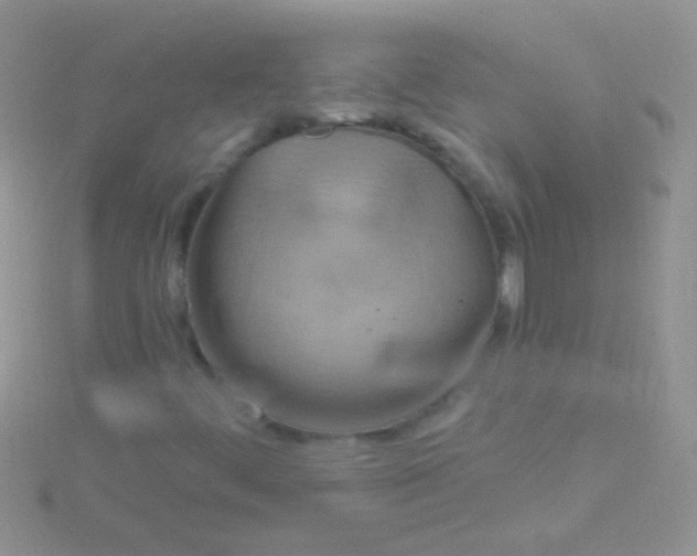 X0000115031444200911231102