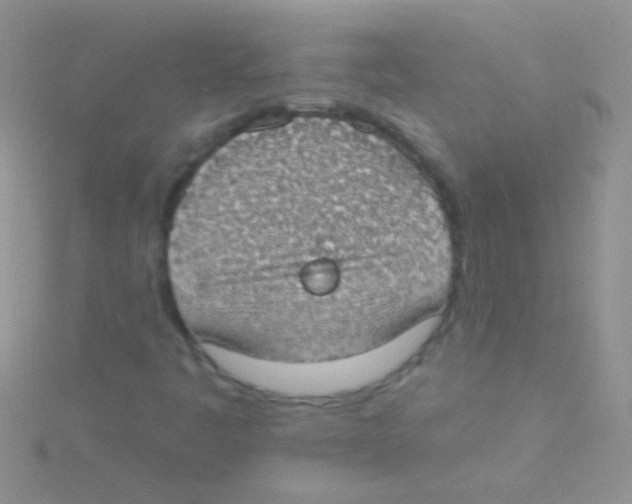 X0000115031445200911231102