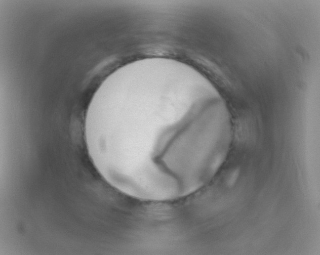 X0000115031446200911231102