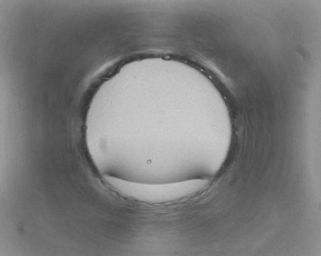 X0000115031448200911231102