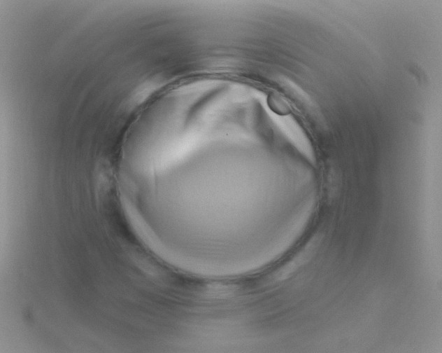 X0000115031449200911231102