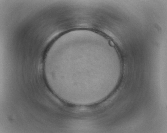 X0000115031450200911231102