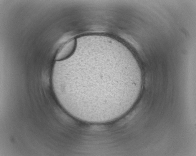 X0000115031451200911231102