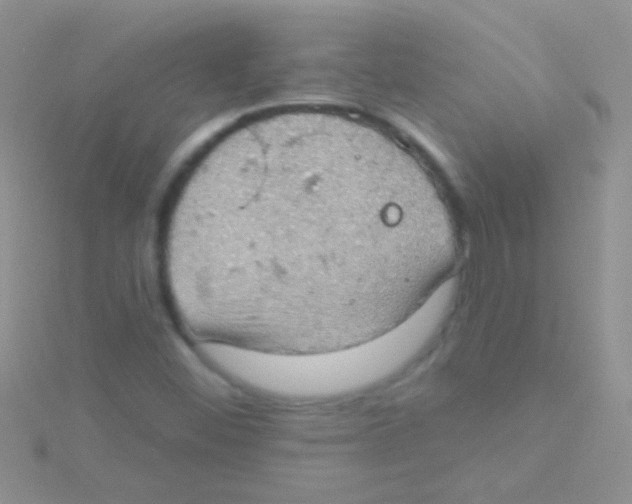 X0000115031452200911231102